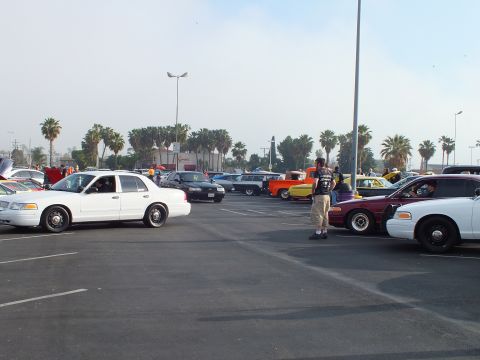 2003 Ford Crown Victoria - White full-size sedans flank a row of colorful classic cars at a parking-lot gathering, with a man standing in the central aisle.
