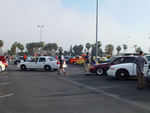 2003 Ford Crown Victoria - White and maroon full-size sedans are parked at a sunny car meet as people walk and stand among the rows.
