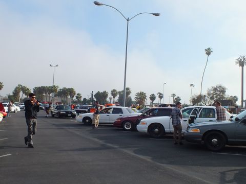 2003 Ford Crown Victoria - line of full-size sedans with hoods raised sits at a car meet while a man in the aisle takes a photo, palms in the background.