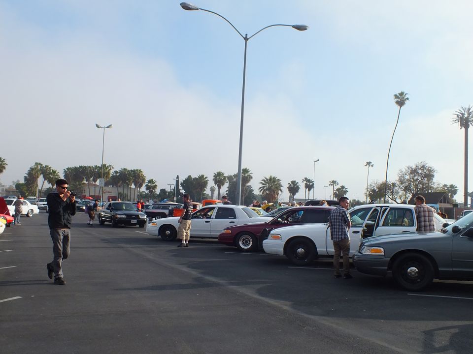 Row of sedans with hoods up at a car meet, a man photographing them