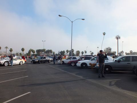 2003 Ford Crown Victoria - black full-size sedan and a silver sedan are parked among other cars at a sunny car meet, with a small dog and people in the aisle.
