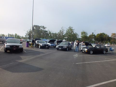 2003 Ford Crown Victoria - Black full-size sedans and a small hatchback sit with hoods open at a car meet under a gray sky, with folding chairs set out.