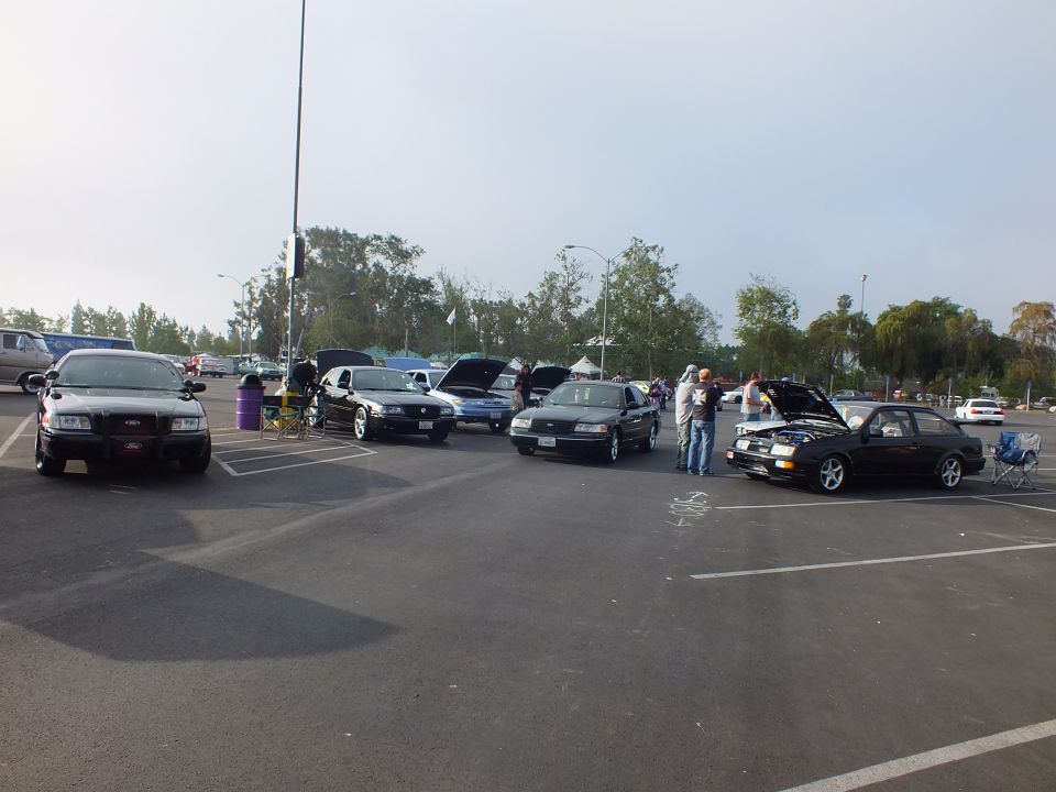 Black sedans and a hatchback parked with hoods open under cloudy sky