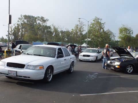 2003 Ford Crown Victoria - white Ford full-size sedan with a 'WHTE VIC' plate is parked front-and-center at a car meet, with a black hatchback hood up nearby.
