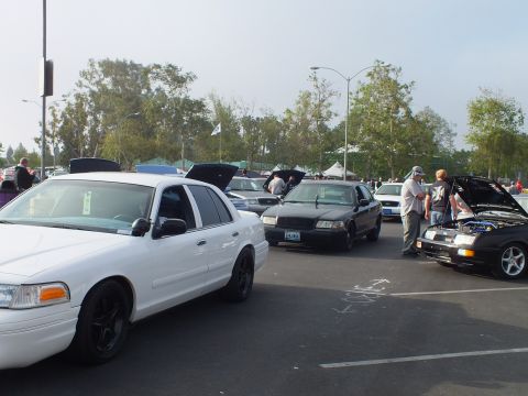 2003 Ford Crown Victoria - white Ford sedan and a black sedan with its hood up are parked at a car meet, with people gathered around a black hatchback.