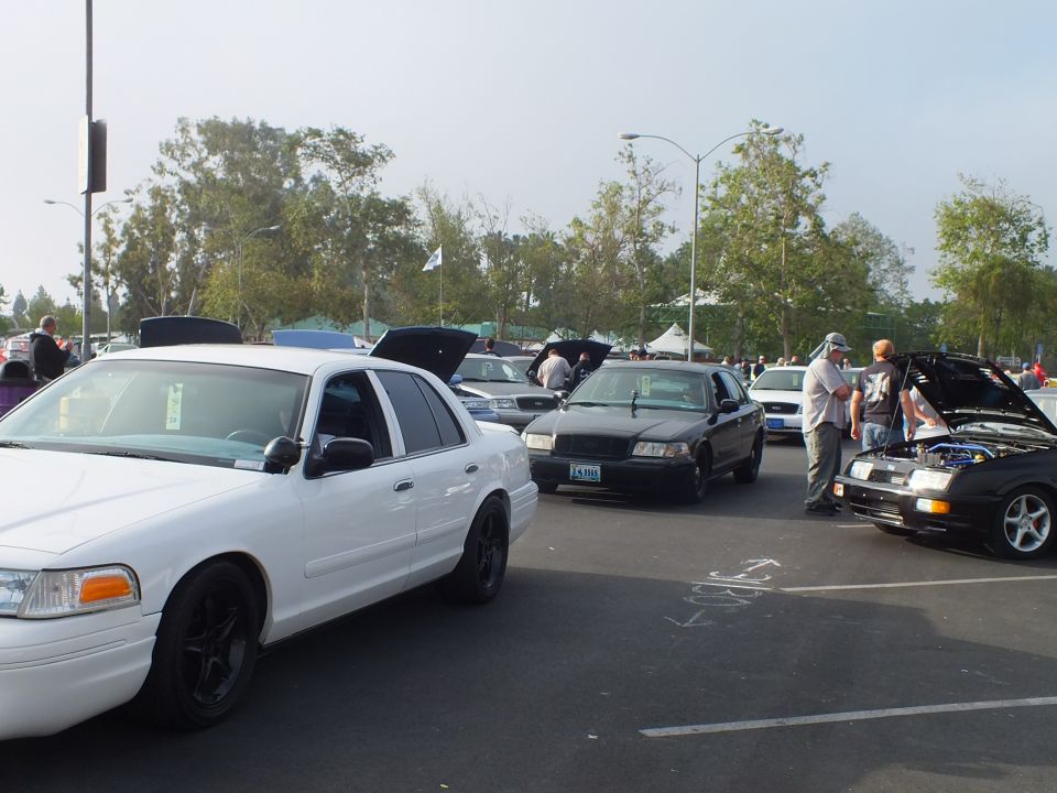 White Ford sedan and black sedan with hoods up at a car meet