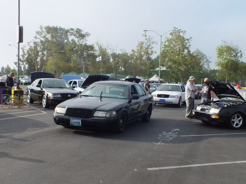 2003 Ford Crown Victoria - black full-size sedan faces the camera at a car meet, with other sedans and people gathered around an open hood at right.