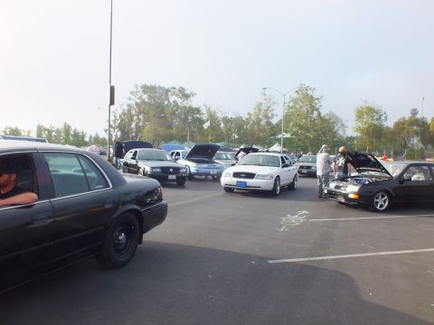2003 Ford Crown Victoria - Black and white full-size sedans, several with hoods raised, fill a parking lot at a car meet as people walk among them.