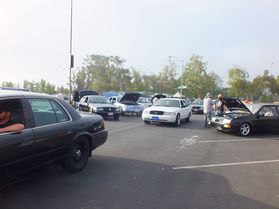 Black and white sedans with hoods up parked at a busy car meet