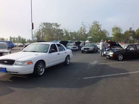 2003 Ford Crown Victoria - white Ford full-size sedan is parked at a car meet, with a black car's hood raised to reveal its engine at right.