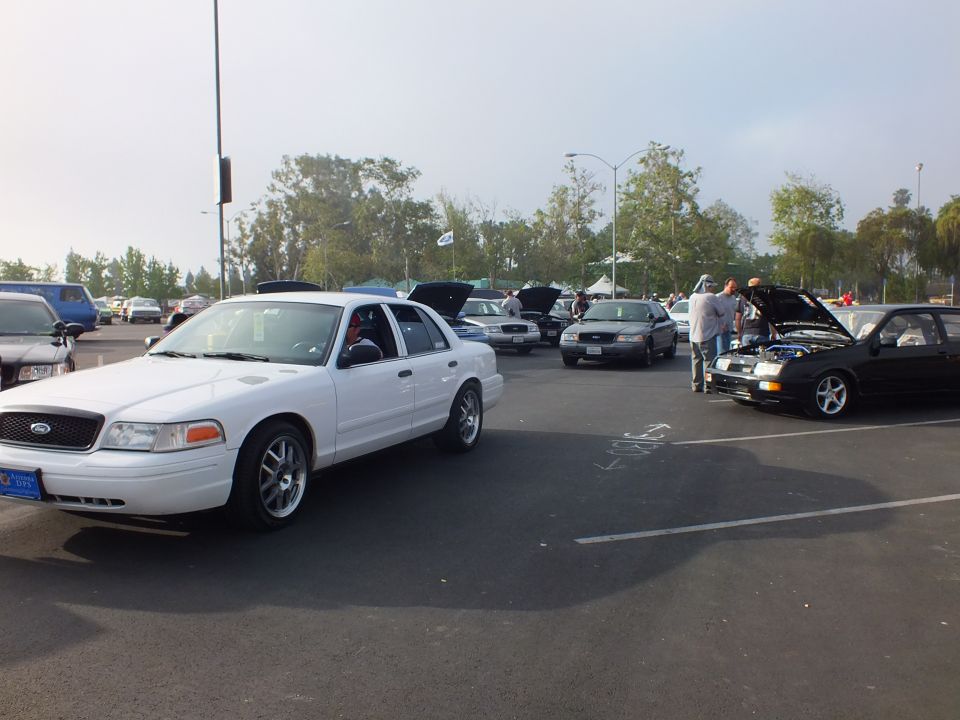 White Ford sedan parked at a car meet with a black car hood up nearby