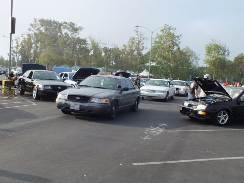 2003 Ford Crown Victoria - gray Ford full-size sedan and white sedans sit at a car meet with several hoods raised and an event tent in the background.