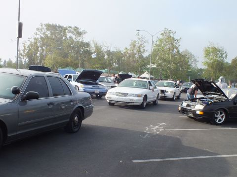 2003 Ford Crown Victoria - gray full-size sedan sits in the foreground of a car meet, with white sedans and a hood-up black hatchback farther down the row.