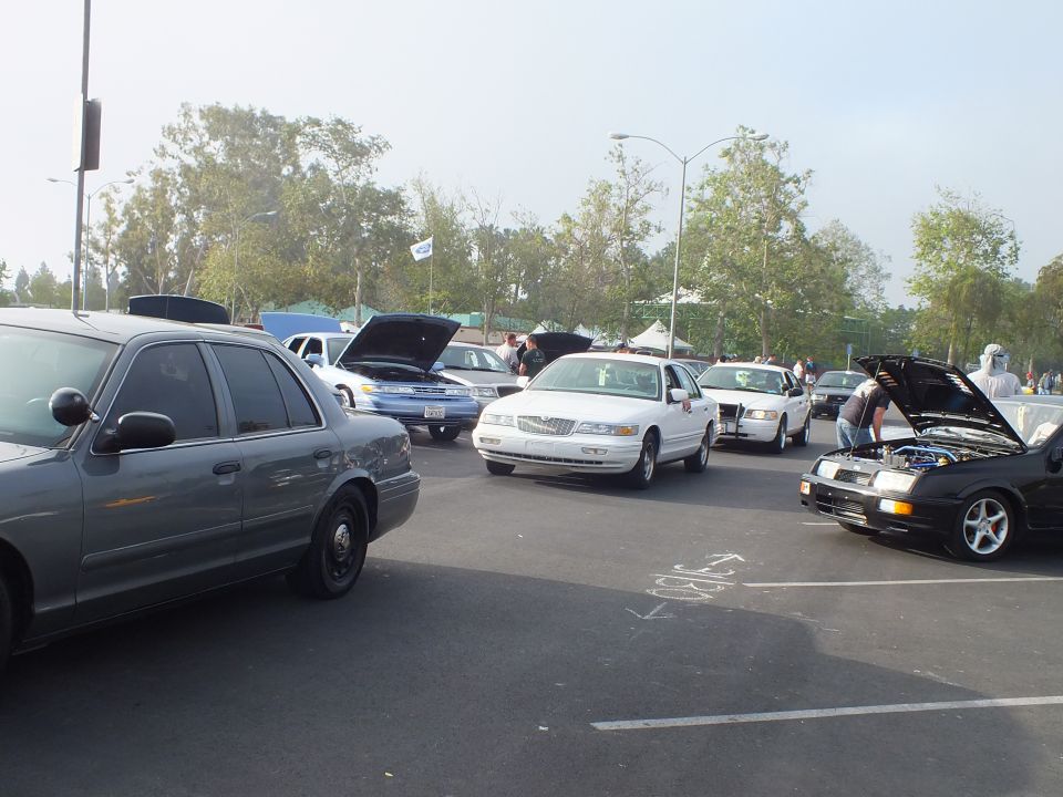 Gray sedan in foreground with white sedans and hoods up behind it