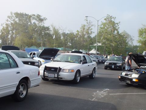 2003 Ford Crown Victoria - white Ford full-size sedan with a California plate is parked at a car meet, hoods raised on cars to either side.
