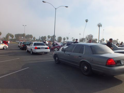 2003 Ford Crown Victoria - gray full-size sedan and a white sedan are parked in a misty lot lined with palm trees as people stand nearby.