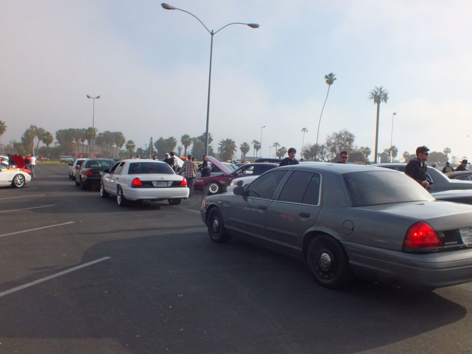 Gray sedan and white sedan parked in a hazy lot with palm trees