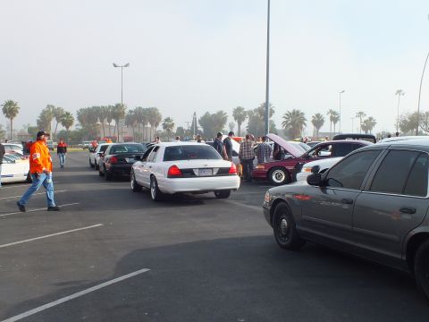 2003 Ford Crown Victoria - white Ford sedan and a gray sedan are parked at a car meet as a man in orange walks the aisle and people cluster around open hoods.