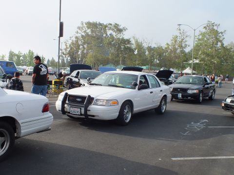 2003 Ford Crown Victoria - white Ford Crown Victoria with its hood raised and a front push bar parked among other sedans at an outdoor parking-lot car meet.