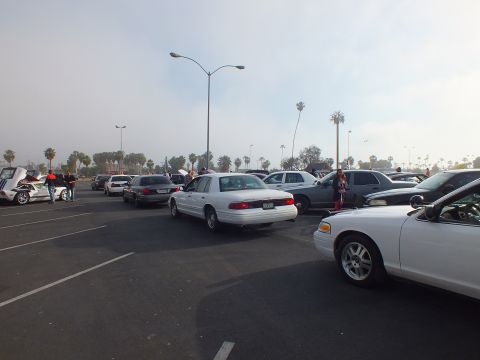 2003 Ford Crown Victoria - White and dark sedans parked in rows across a hazy parking lot lined with palm trees and tall street lights.