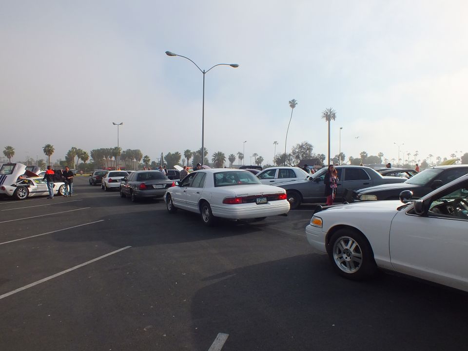 Rows of sedans parked in a hazy lot with palm trees and street lights