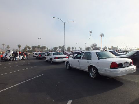 2003 Ford Crown Victoria - Two white full-size sedans parked at angles in a misty parking lot with palm trees and a street light overhead.