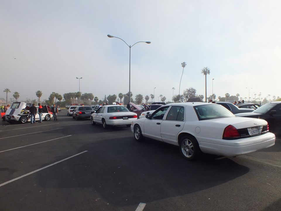 White full-size sedans parked in a foggy lot with palm trees