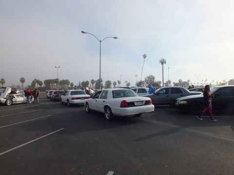 2003 Ford Crown Victoria - White and black full-size sedans parked in a hazy lot as people, including a person in red pants, walk between them.