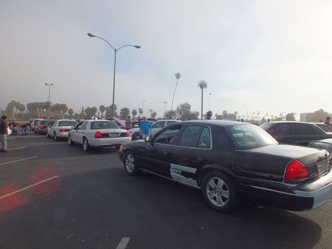2003 Ford Crown Victoria - black Ford Crown Victoria sedan parked among white sedans in a hazy parking lot with palm trees in the background.