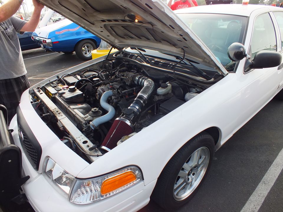 White Crown Victoria with hood up showing modified intake at a car meet