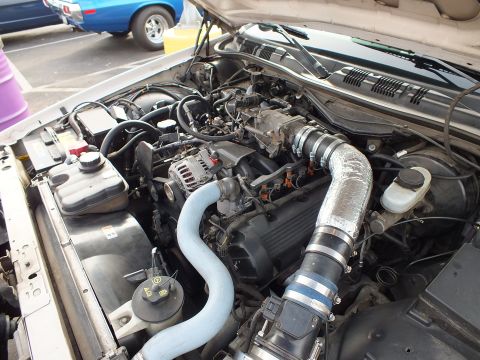 2003 Ford Crown Victoria - Engine bay of a light-colored car showing the alternator, blue coolant hose and a silver heat-wrapped intake tube.