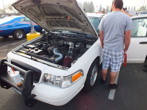 2003 Ford Crown Victoria - white Ford Crown Victoria with raised hood and front push bar at a car meet while a man in plaid shorts stands alongside.