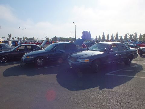 2003 Ford Crown Victoria - Two dark Ford sedans parked nose-out with hoods open at a crowded outdoor car show, sun flaring in the frame.
