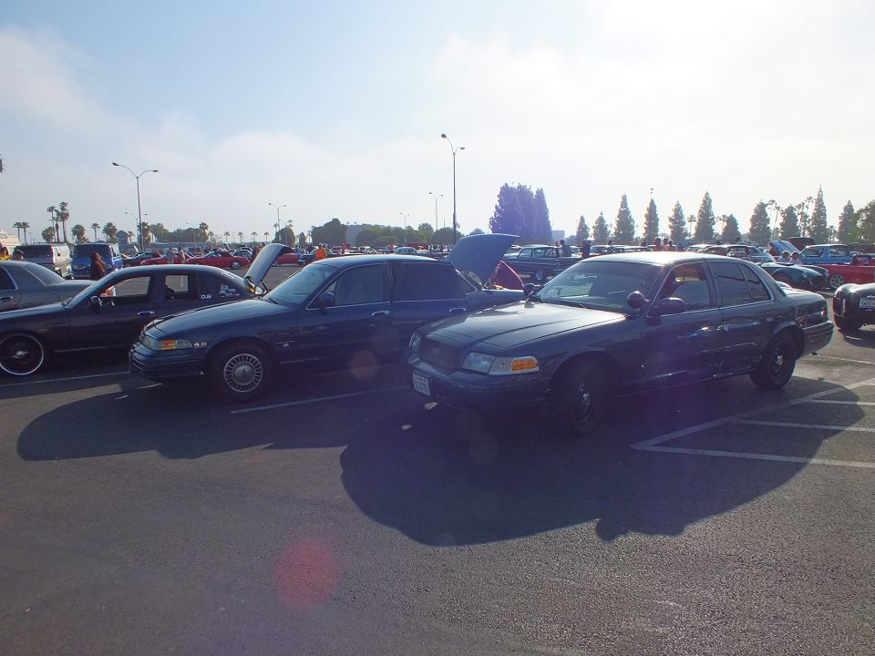 Dark Ford sedans parked side by side with hoods up at a sunny car show