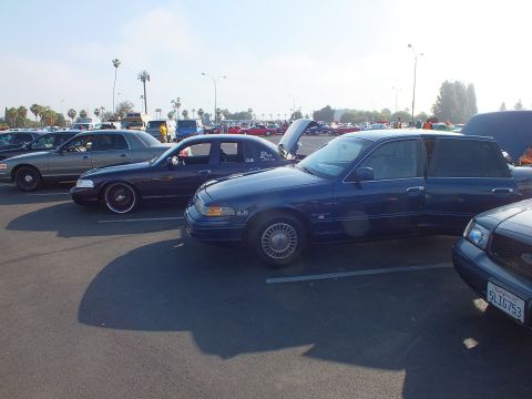 2003 Ford Crown Victoria - Blue Ford sedans parked in a car show lot, the foreground car with its hood up and a California plate reading 5LTG753.