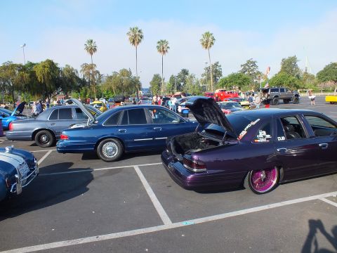 2003 Ford Crown Victoria - Show cars line a parking lot under palm trees, with a low purple sedan in the foreground and a dark blue full-size sedan beside it.