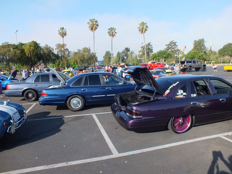 Row of sedans in a car-show parking lot, foreground purple car and a blue sedan with palm trees