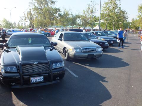 2003 Ford Crown Victoria - line of full-size sedans includes a black push-bar Ford reading EVIL VIC and a gold Ford Crown Victoria stretching across the lot.