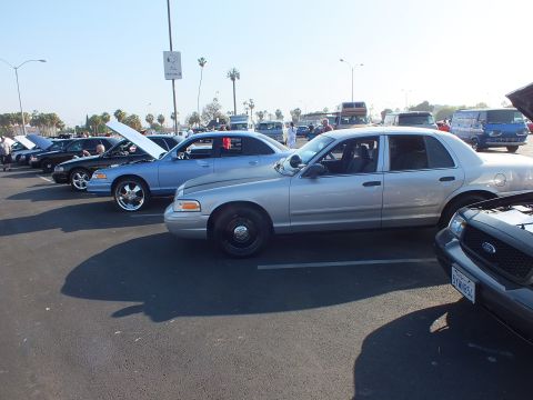 2003 Ford Crown Victoria - Several silver and light-blue full-size sedans line a show lot under palm trees, one with a Ford grille visible at right.