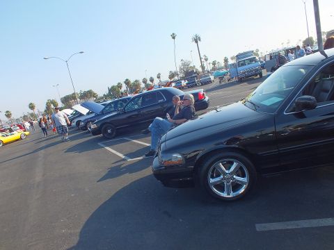 2003 Ford Crown Victoria - Black full-size sedans on chrome wheels line a sunny show lot as spectators stand and chat between the rows of cars.