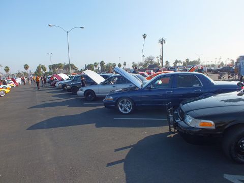 2003 Ford Crown Victoria - long row of Panther-platform sedans with raised hoods lines a sunny parking lot car show under palm trees.