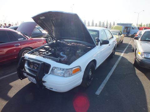 2003 Ford Crown Victoria - white Ford Crown Victoria with a front push bar displays its engine bay with the hood raised at a car show.