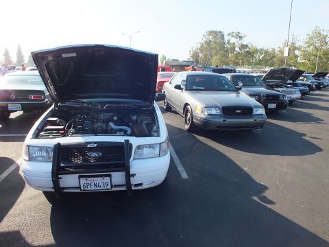 2003 Ford Crown Victoria - white Ford with push bar and California 6PFN439 plate shows its engine beside a gray Crown Victoria at a show.