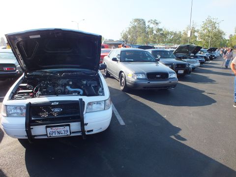 2003 Ford Crown Victoria - white Ford with push bar and a silver Ford Crown Victoria lead a row of show sedans, hoods raised, at a car show.