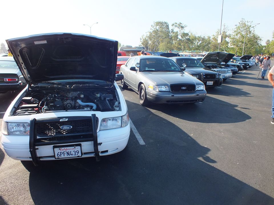White Ford with push bar and open hood and silver Crown Victoria lined up at a car show