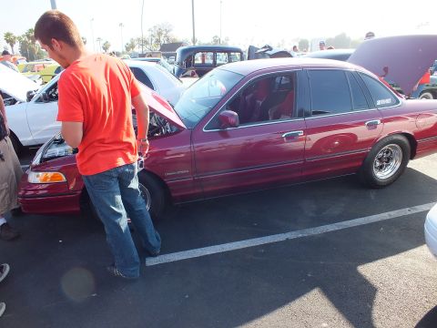 2003 Ford Crown Victoria - man in an orange shirt stands by a dark-red Ford Crown Victoria with its hood up at a sunny car show.