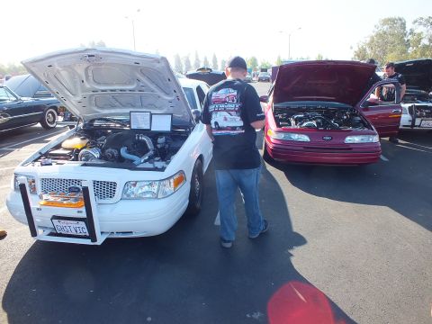 2003 Ford Crown Victoria - white Ford Crown Victoria with push bar and 'GHST VIC' plate parked next to a maroon Ford sedan, a man in a black shirt between them.