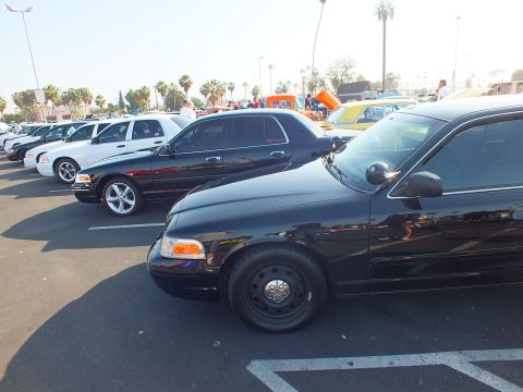 2003 Ford Crown Victoria - row of Ford Crown Victoria sedans in black and white lined up in parking spaces under palm trees at an outdoor car show.