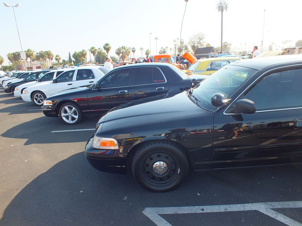Row of Ford Crown Victoria sedans lined up in a parking lot at a car show