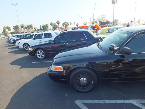2003 Ford Crown Victoria - line of black and white Ford Crown Victoria sedans angled in parking spaces with palm trees and other cars in the background.